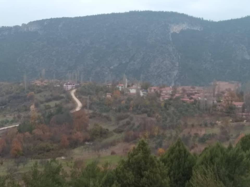 Gölpazarı Söğütcük Köyü Resimleri 4