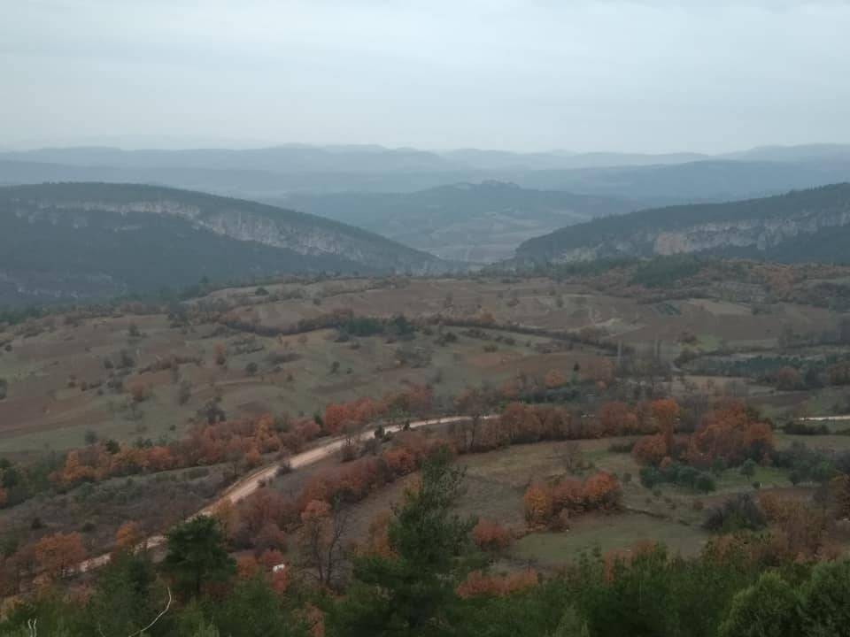 Gölpazarı Söğütcük Köyü Resimleri 6