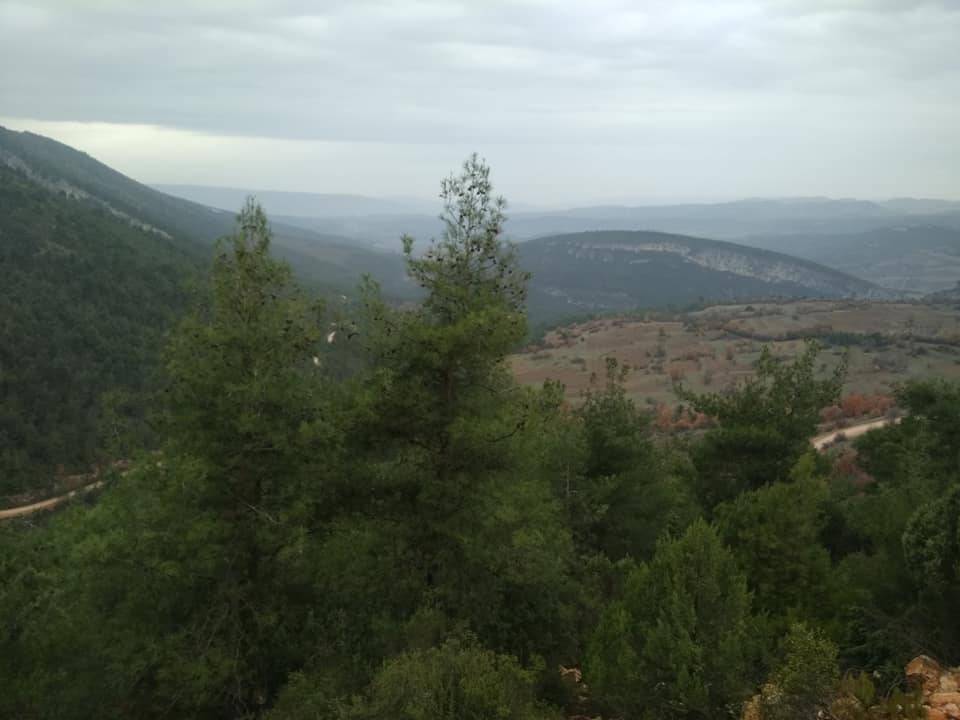 Gölpazarı Söğütcük Köyü Resimleri 7