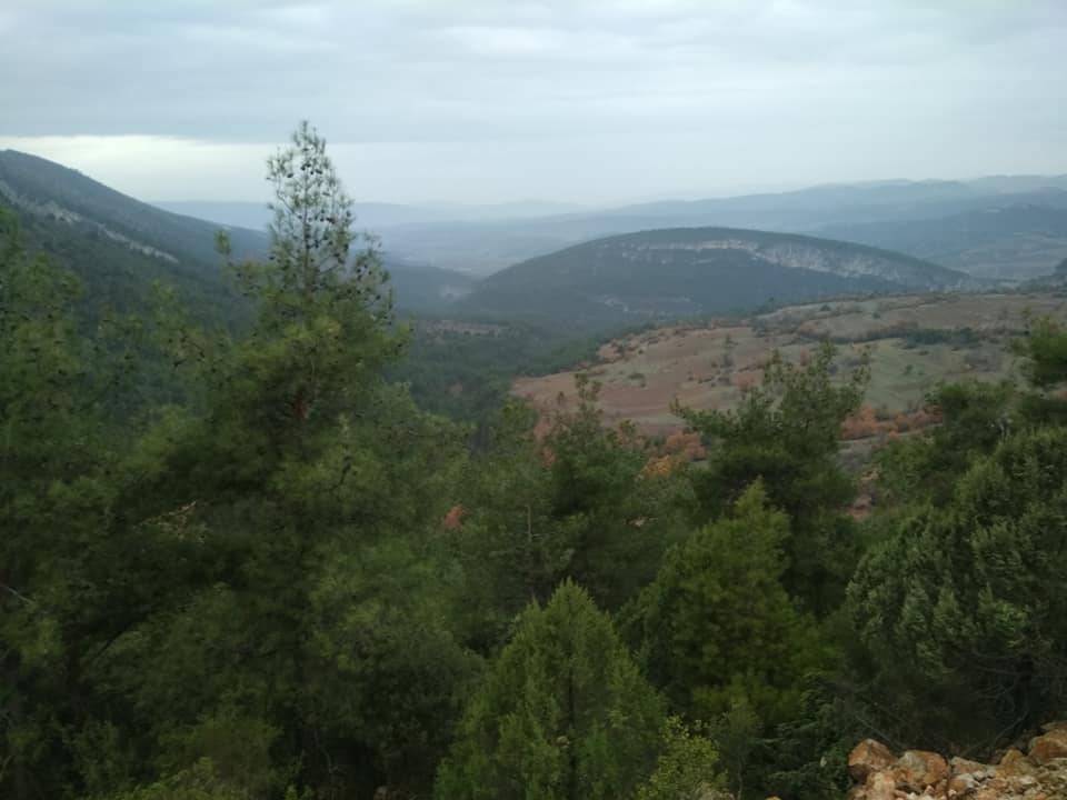 Gölpazarı Söğütcük Köyü Resimleri 8