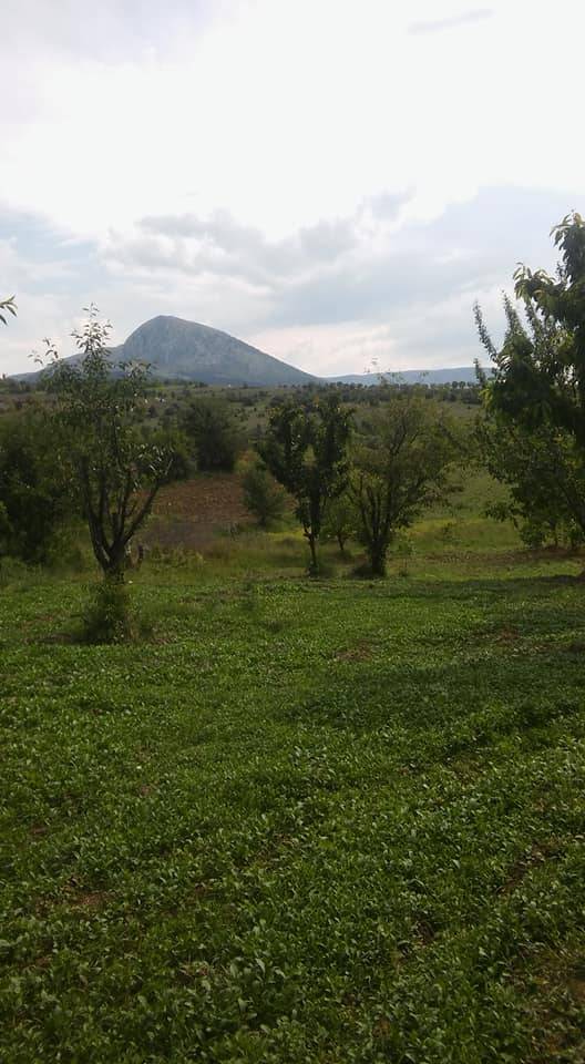 Gölpazarı Türkmen Köyü Resimleri 8