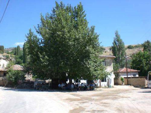 İnhisar Akköy Köyü Resimleri 6