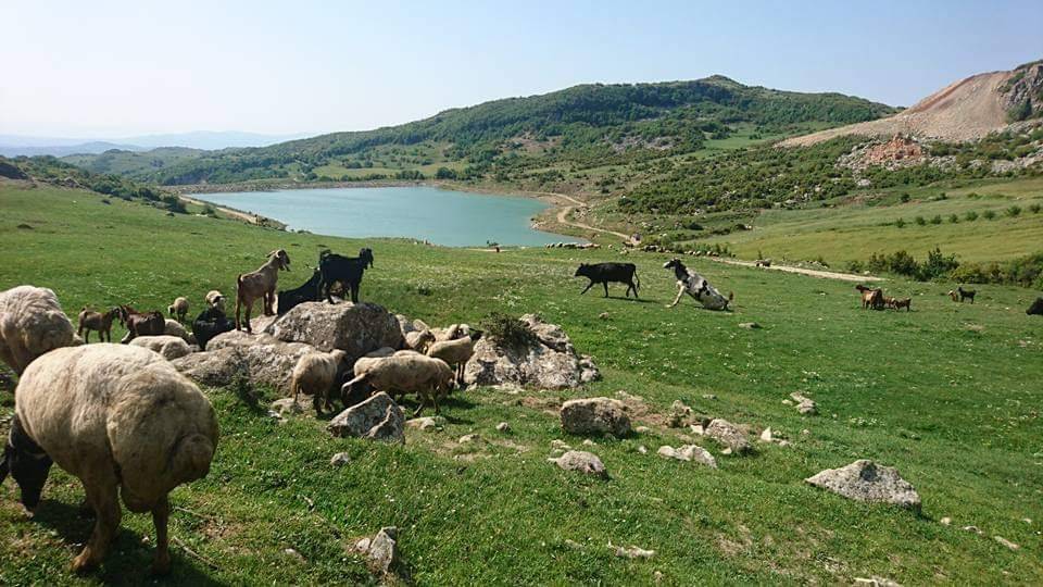 İnhisar Hisarcık Köyü Resimleri 3