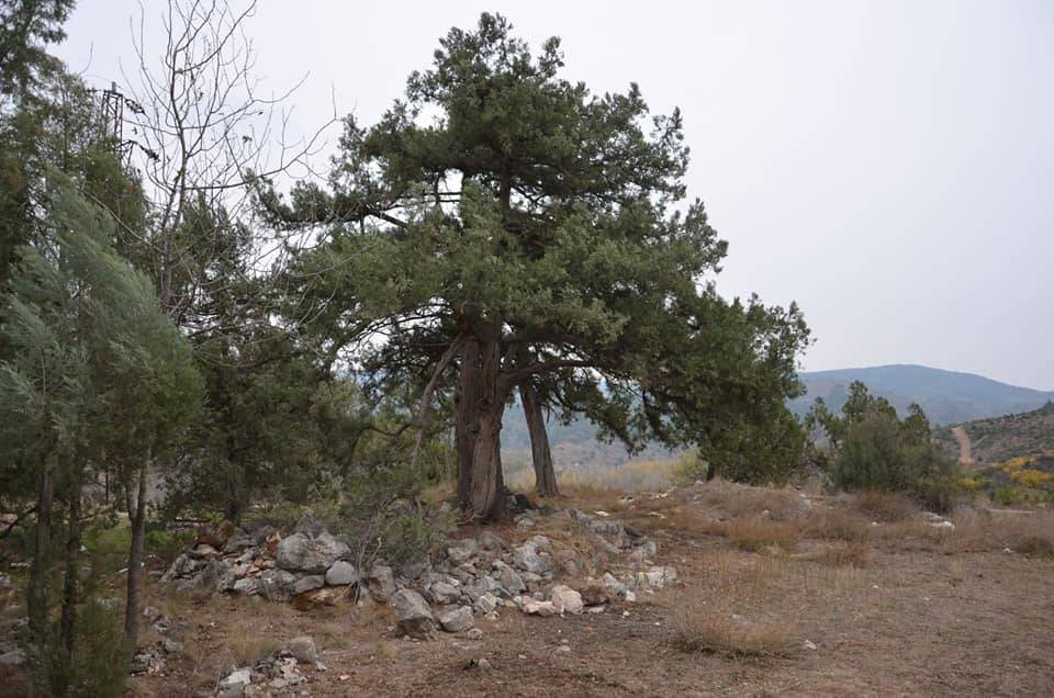 İnhisar Tarpak Köyü Resimleri 6