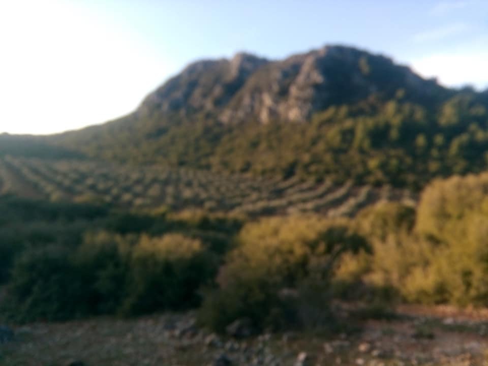 Akhisar Çoruk Köyü Resimleri 5