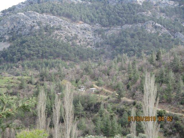 Silifke Kocaoluk Köyü Resimleri 10