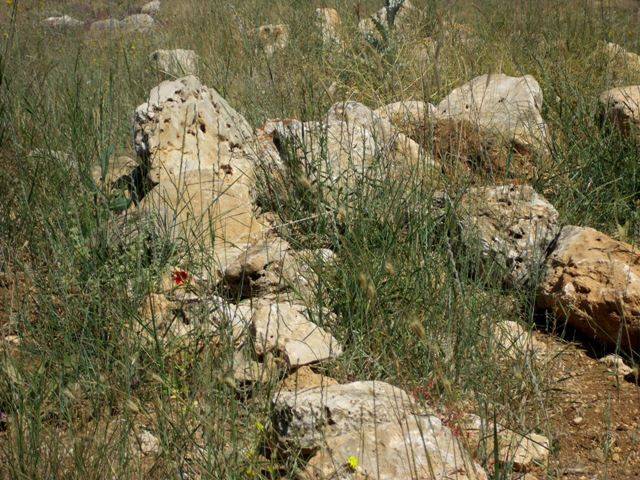 Silifke Pazarkaşı  Köyü Resimleri 3