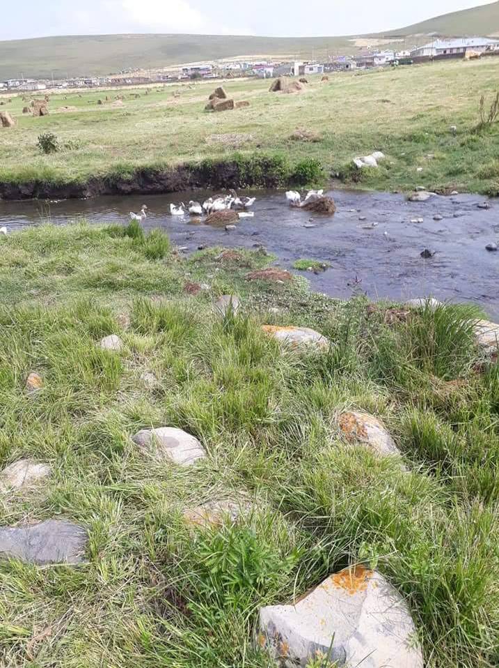 Ardahan Yukarıkurtoğlu Köyü Resimleri 2