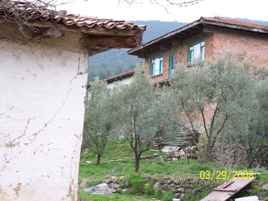Osmaneli Dereyörük Köyü Resimleri 5