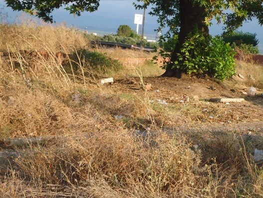 Akhisar Dayıoğlu Köyü Resimleri 5