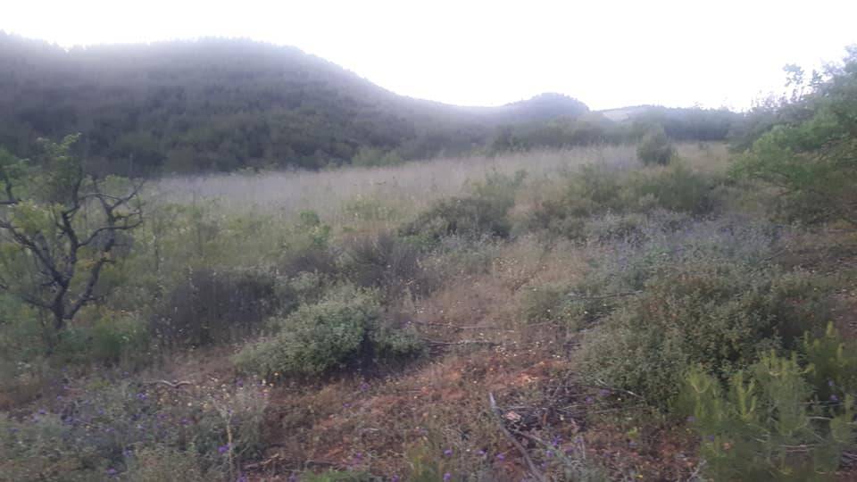 Osmaneli Ericek Köyü Resimleri 3