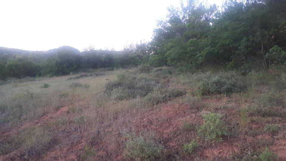 Osmaneli Ericek Köyü Resimleri 4