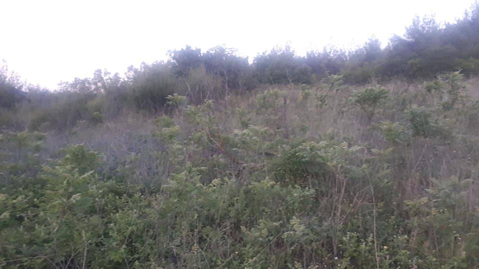 Osmaneli Ericek Köyü Resimleri 5