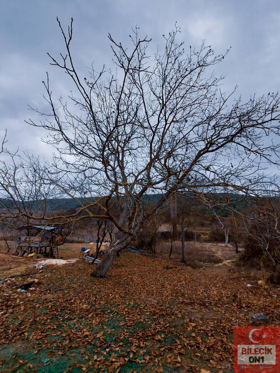 Osmaneli Kızılöz Köyü Resimleri 4