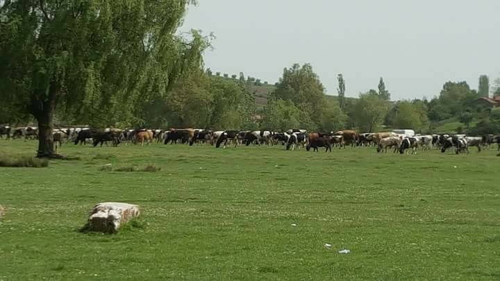 Osmaneli Oğulpaşa Köyü Resimleri 1