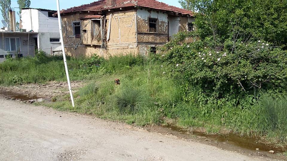 Osmaneli Oğulpaşa Köyü Resimleri 2