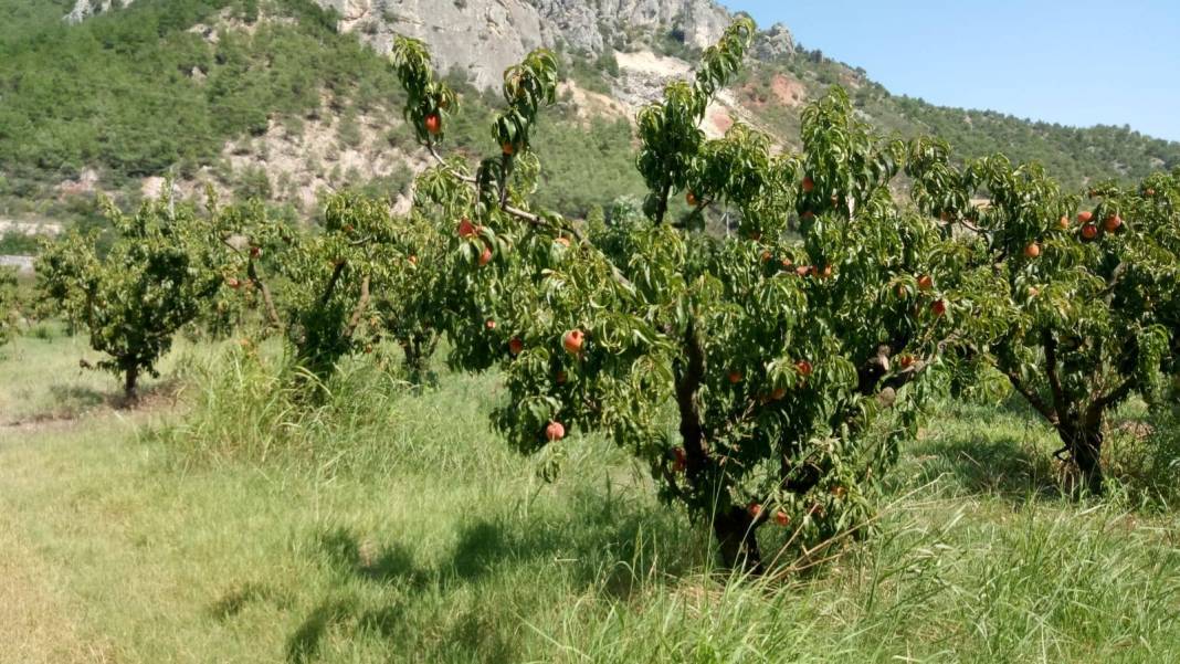 Osmaneli Selçik Köyü Resimleri 1