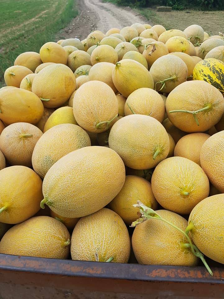 Osmaneli Soğucakpınar Köyü Resimleri 1