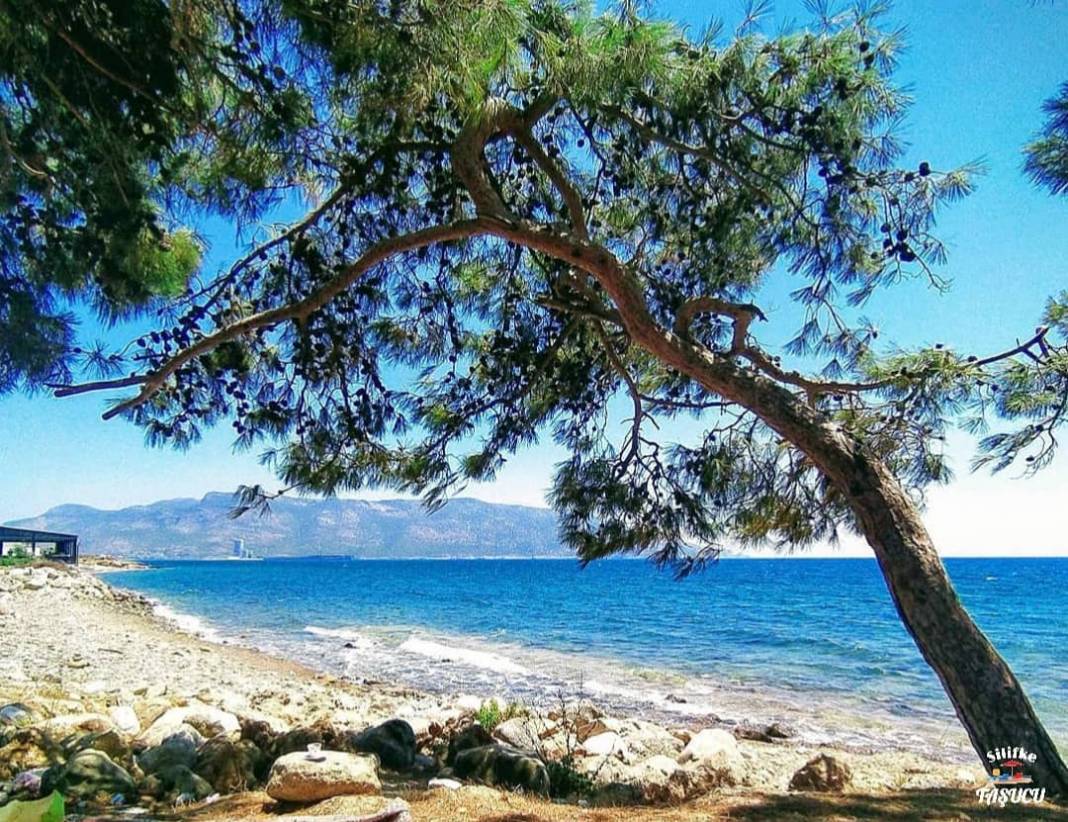 Silifke Taşucu  Köyü Resimleri 4