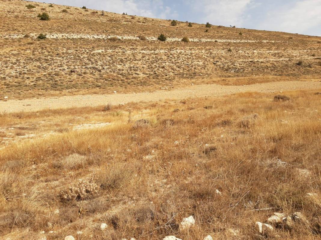 Silifke Taşucu  Köyü Resimleri 9