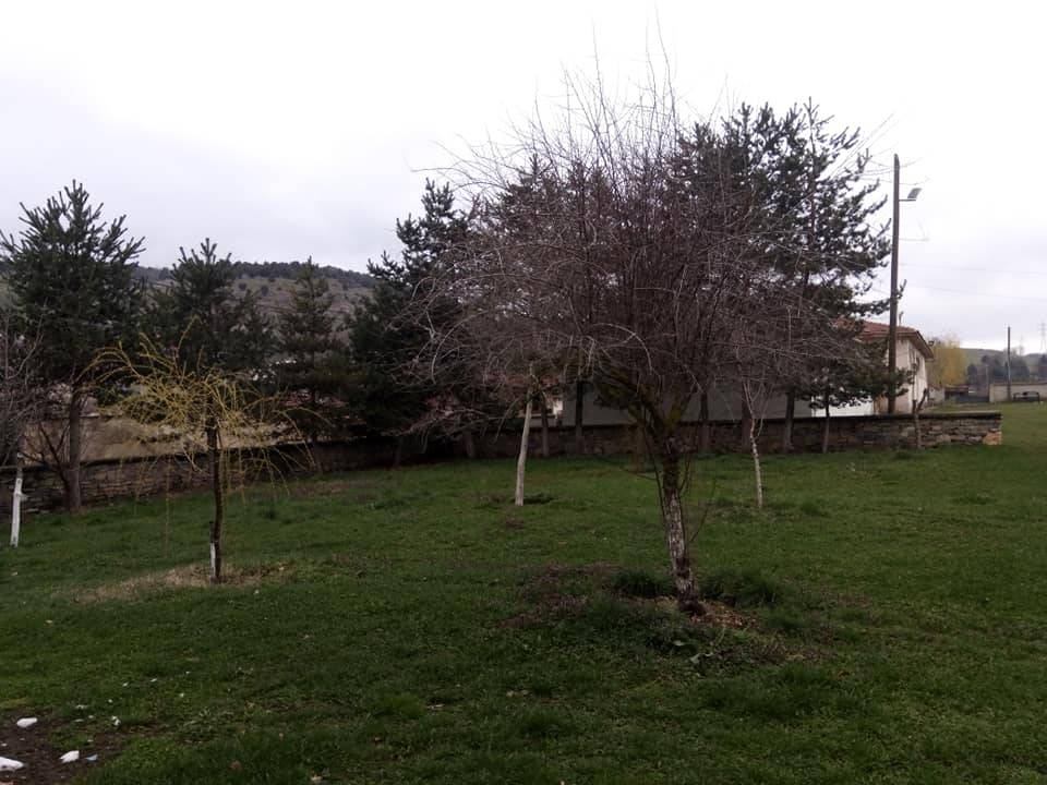 Pazaryeri Ahmetler Köyü Resimleri 4