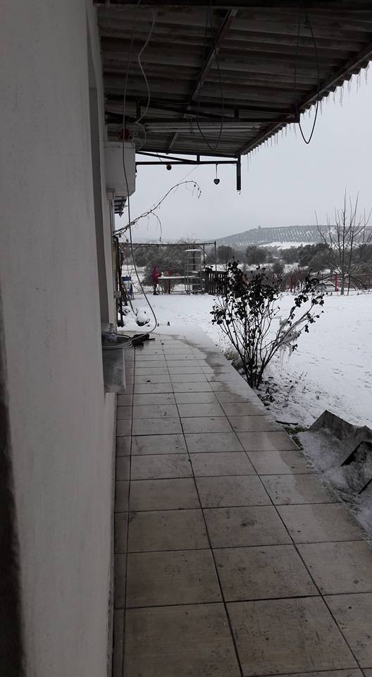 Akhisar Çamönü Köyü Resimleri 2