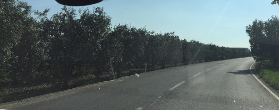 Akhisar Çamönü Köyü Resimleri 7