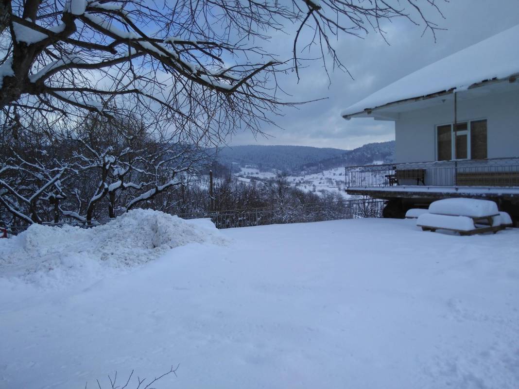 Pazaryeri Bozcaarmut Köyü Resimleri 2