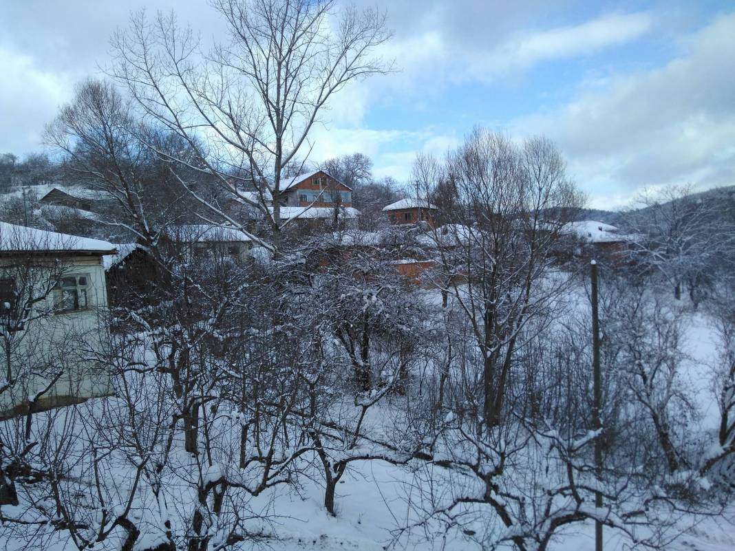 Pazaryeri Bozcaarmut Köyü Resimleri 3