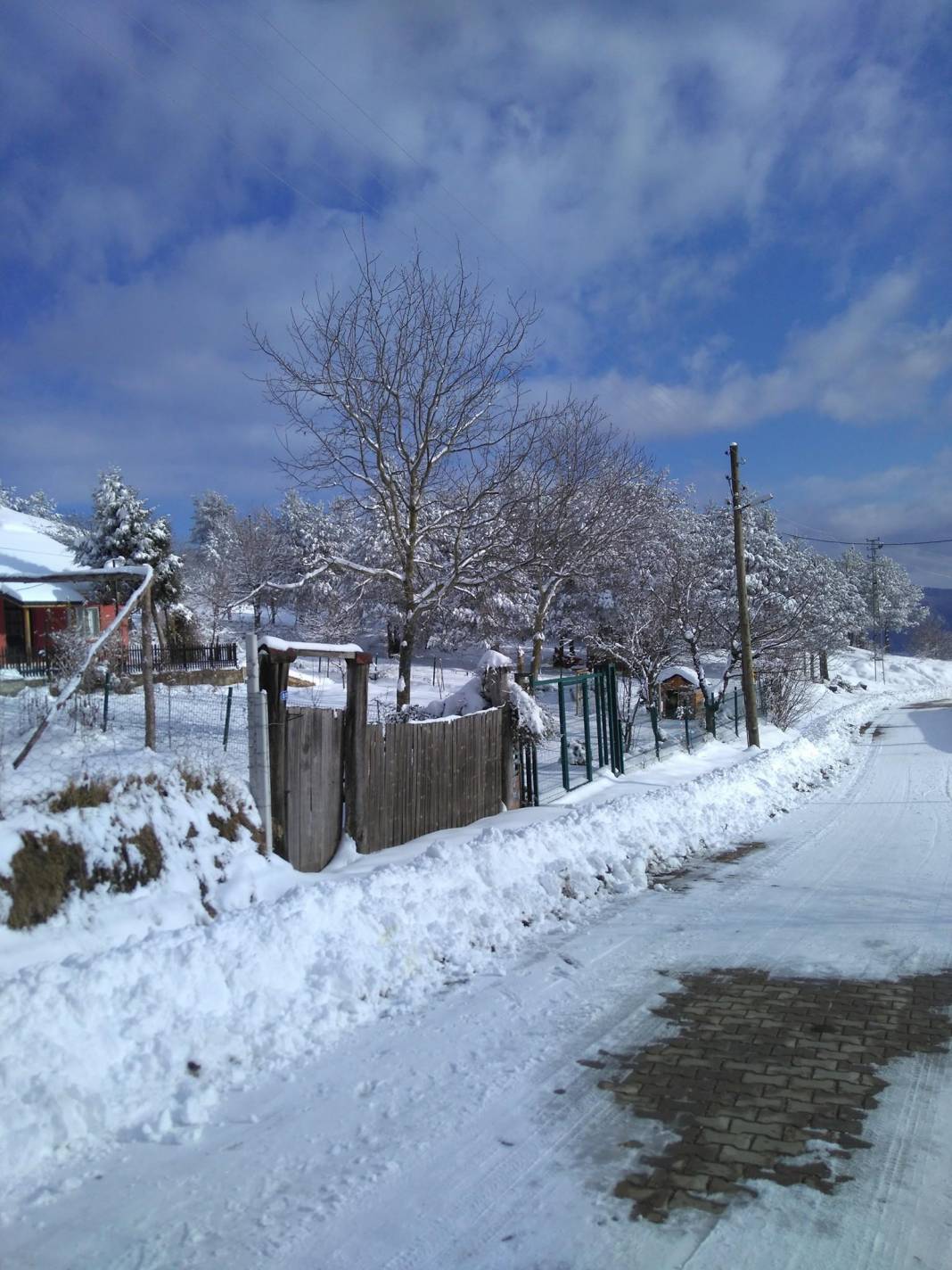 Pazaryeri Bozcaarmut Köyü Resimleri 5