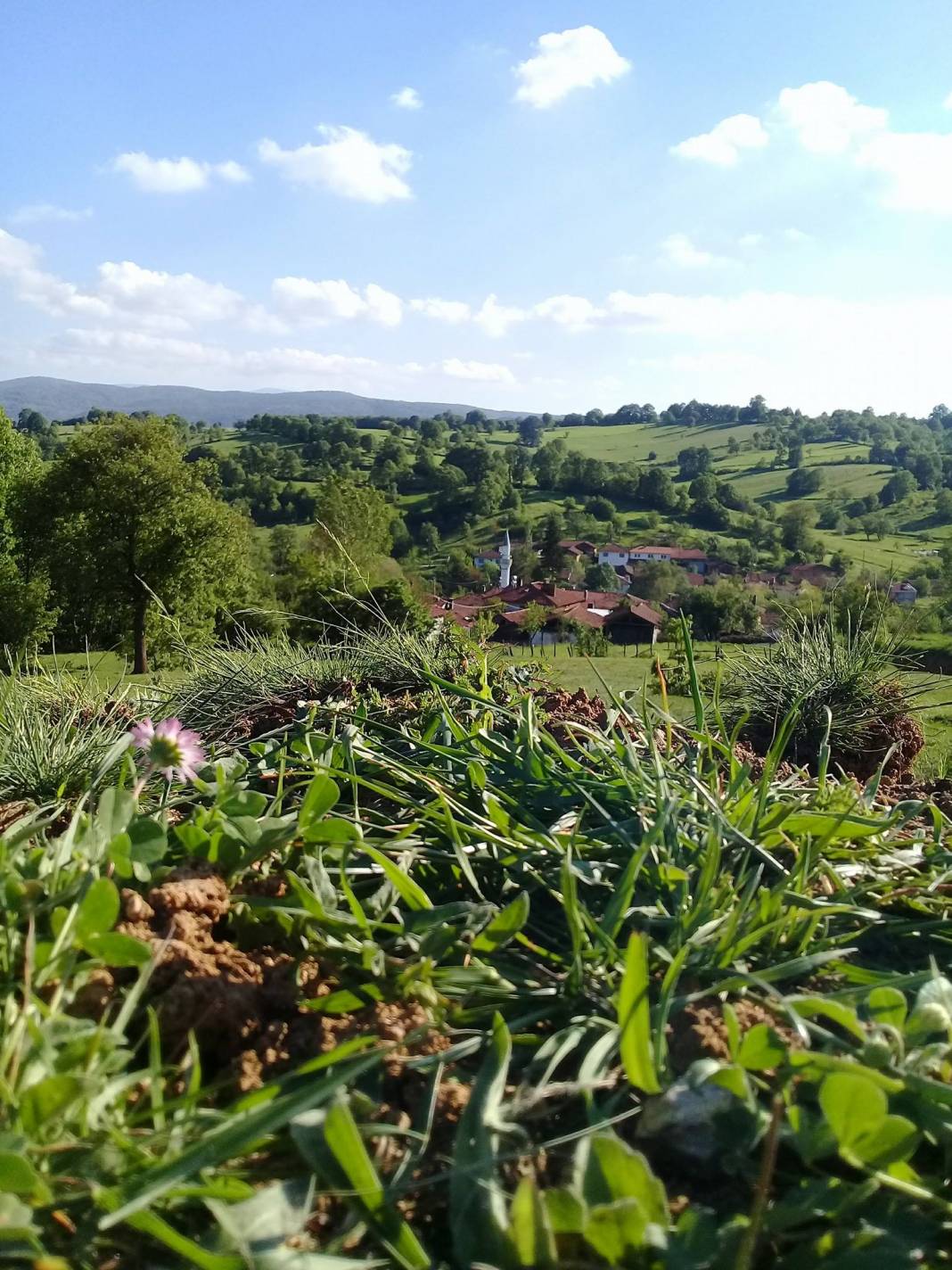 Pazaryeri Burçalık Köyü Resimleri 6