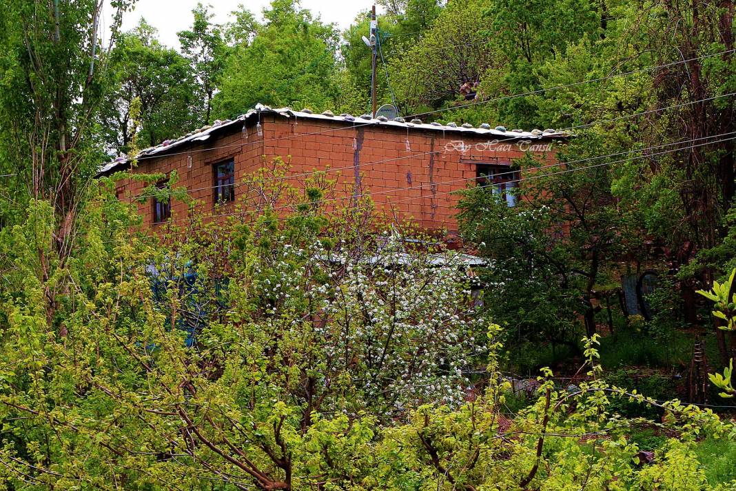 Çukurca Gündeş Köyü Resimleri 5