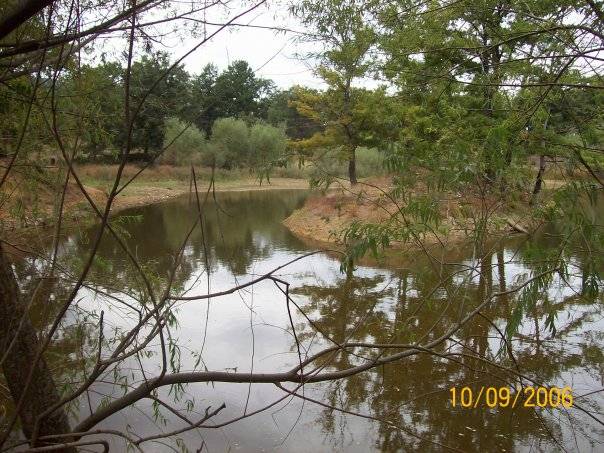 Pazaryeri Dereköy Köyü Resimleri 1