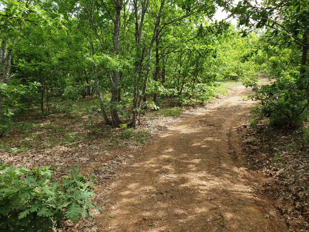 Pazaryeri Dereköy Köyü Resimleri 4