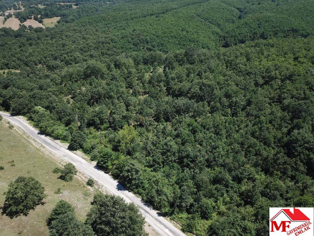 Pazaryeri Dereköy Köyü Resimleri 6