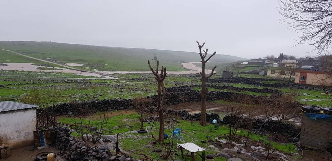 İdil Köyceğiz Köyü Resimleri 3