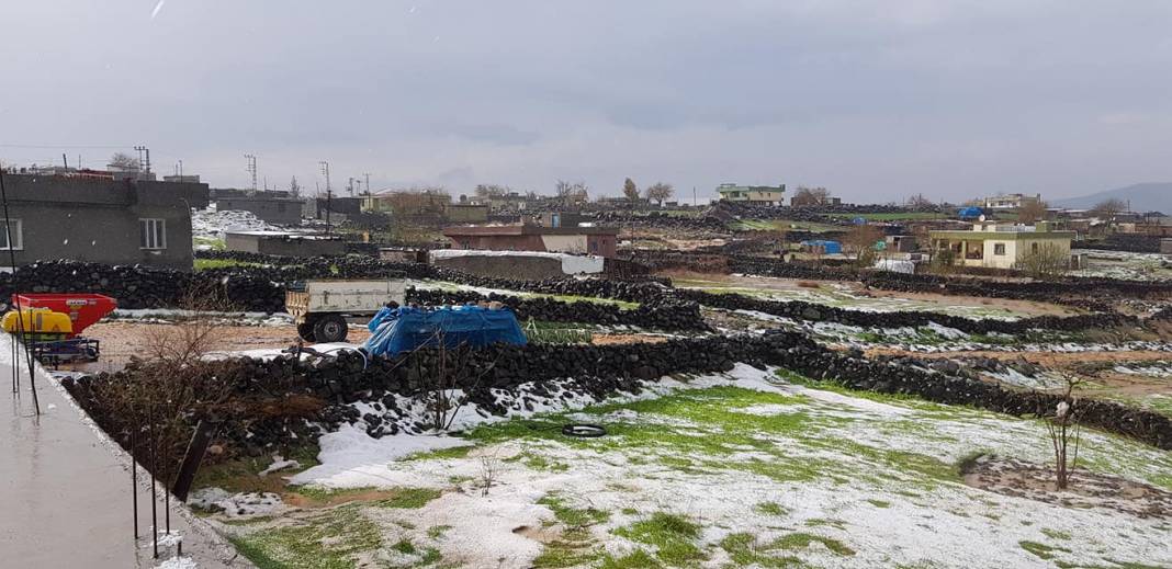 İdil Köyceğiz Köyü Resimleri 7