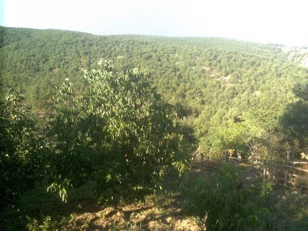 Pazaryeri Esemen Köyü Resimleri 2