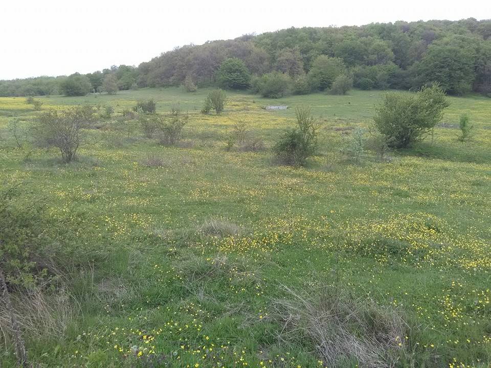 Pazaryeri Esemen Köyü Resimleri 7