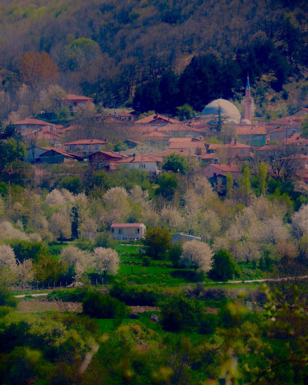 Pazaryeri Fıranlar Köyü Resimleri 6
