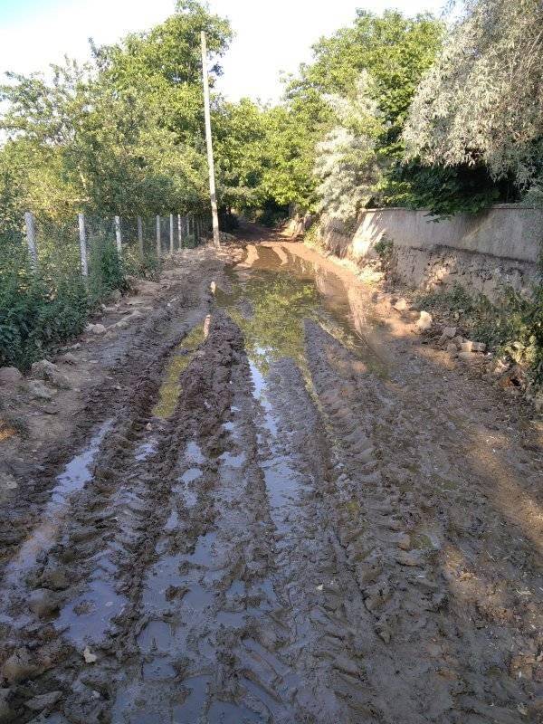 Pazaryeri Fıranlar Köyü Resimleri 8