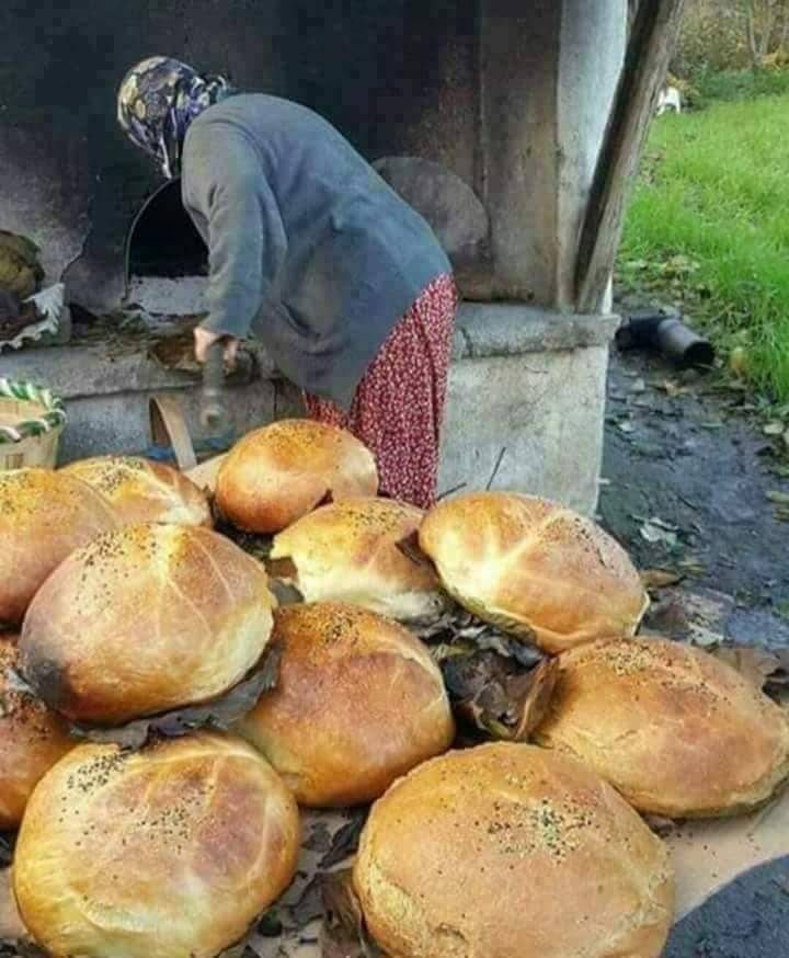 Pazaryeri Fıranlar Köyü Resimleri 9