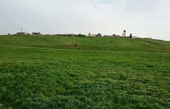 İdil Kuyulu Köyü Resimleri 5