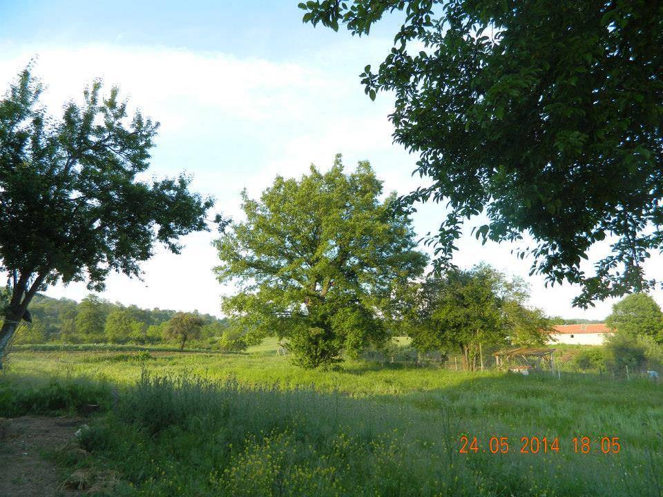 Pazaryeri Günyurdu Köyü Resimleri 4