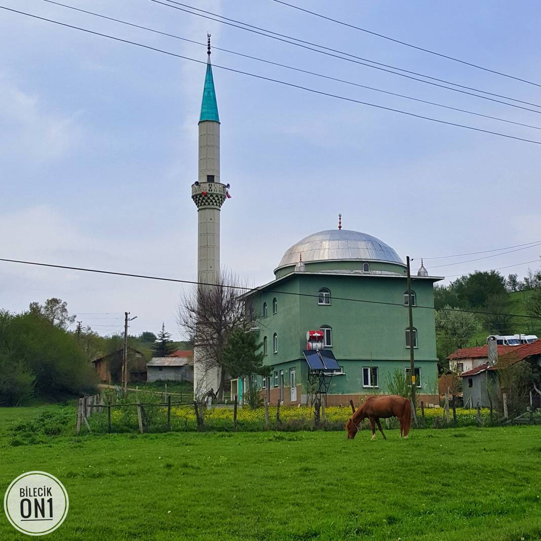 Pazaryeri Karadede Köyü Resimleri 2