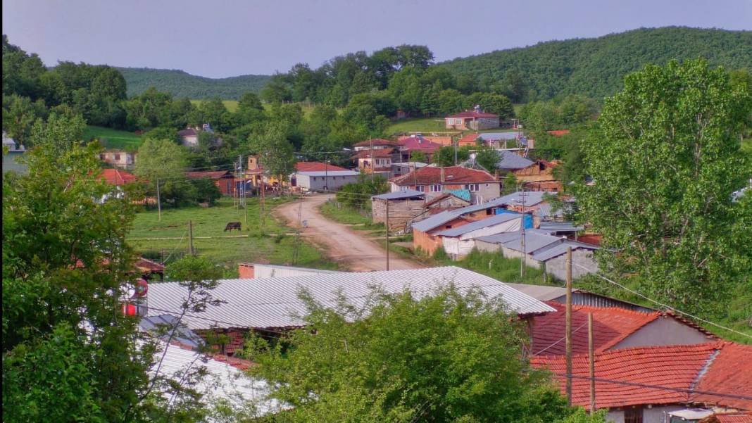 Pazaryeri Karadede Köyü Resimleri 6