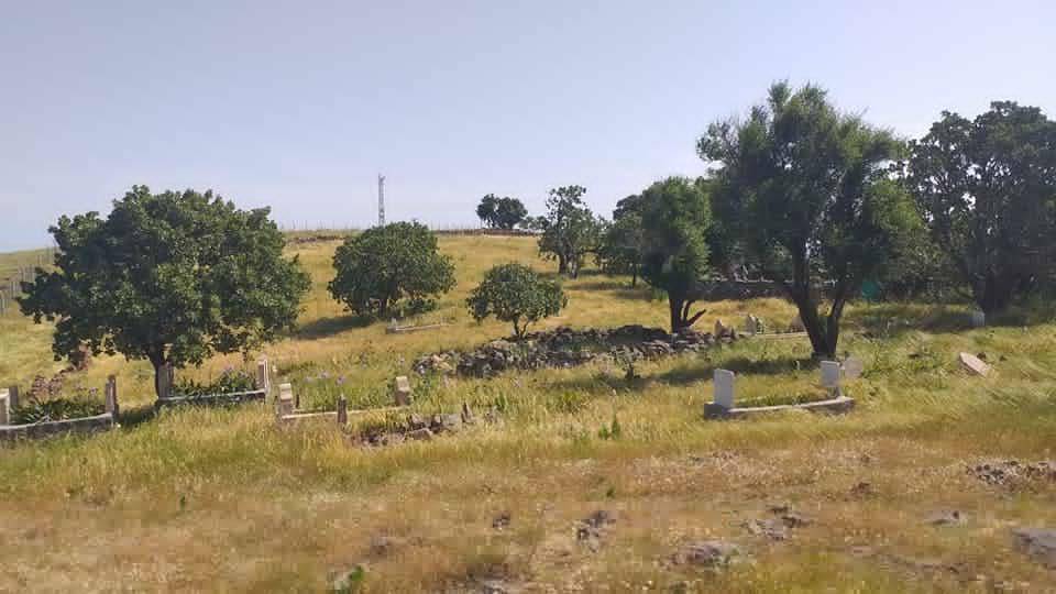 İdil Tepeköy Köyü Resimleri 7