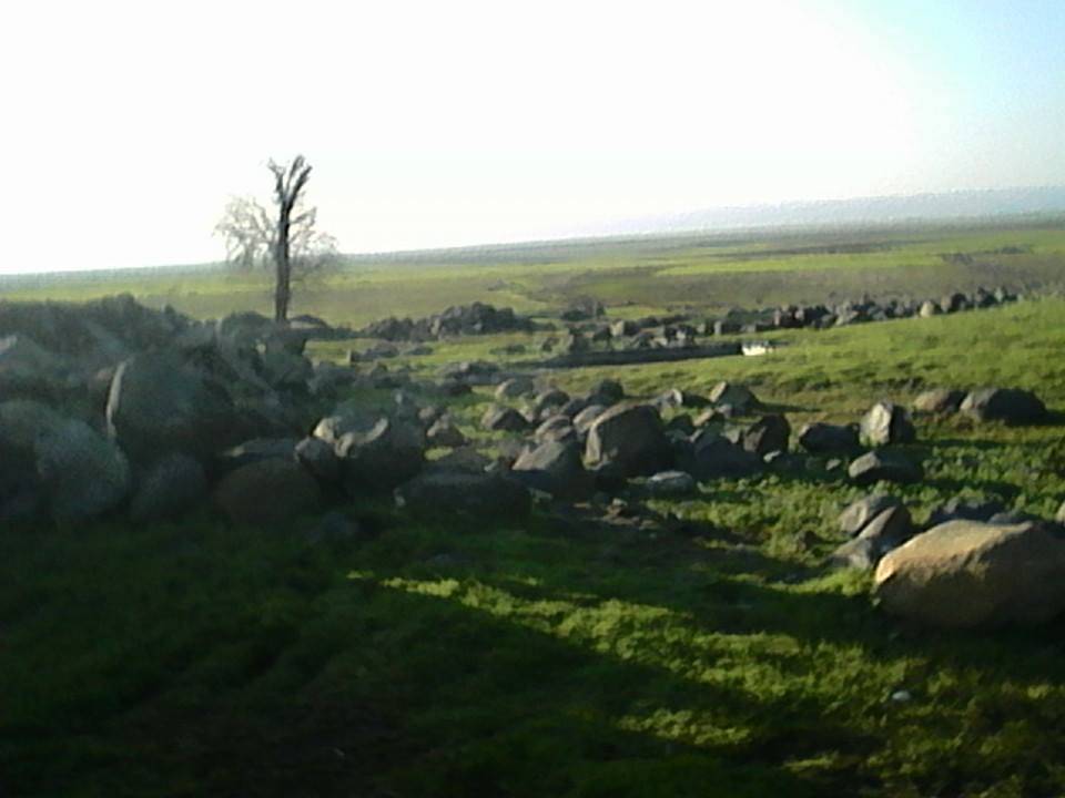 İdil Tepecik Köyü Resimleri 1