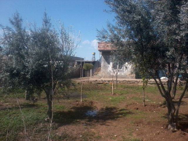 İdil Tepecik Köyü Resimleri 2