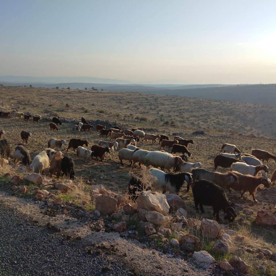 İdil Topraklı Köyü Resimleri 3
